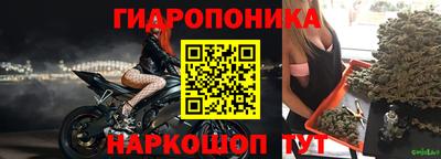 винт Кингисепп