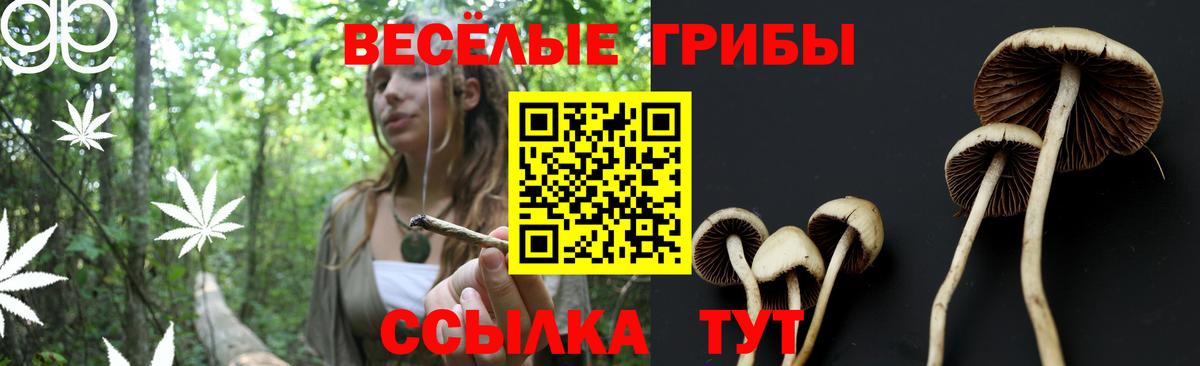 Чехов  Галлюциногенные грибы MAGIC MUSHROOMS  Вход с VPN 