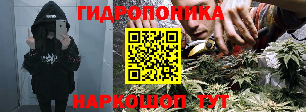Бошки Шишки Amnesia  Вход с VPN  МАРИХУАНА марихуана  Чехов 